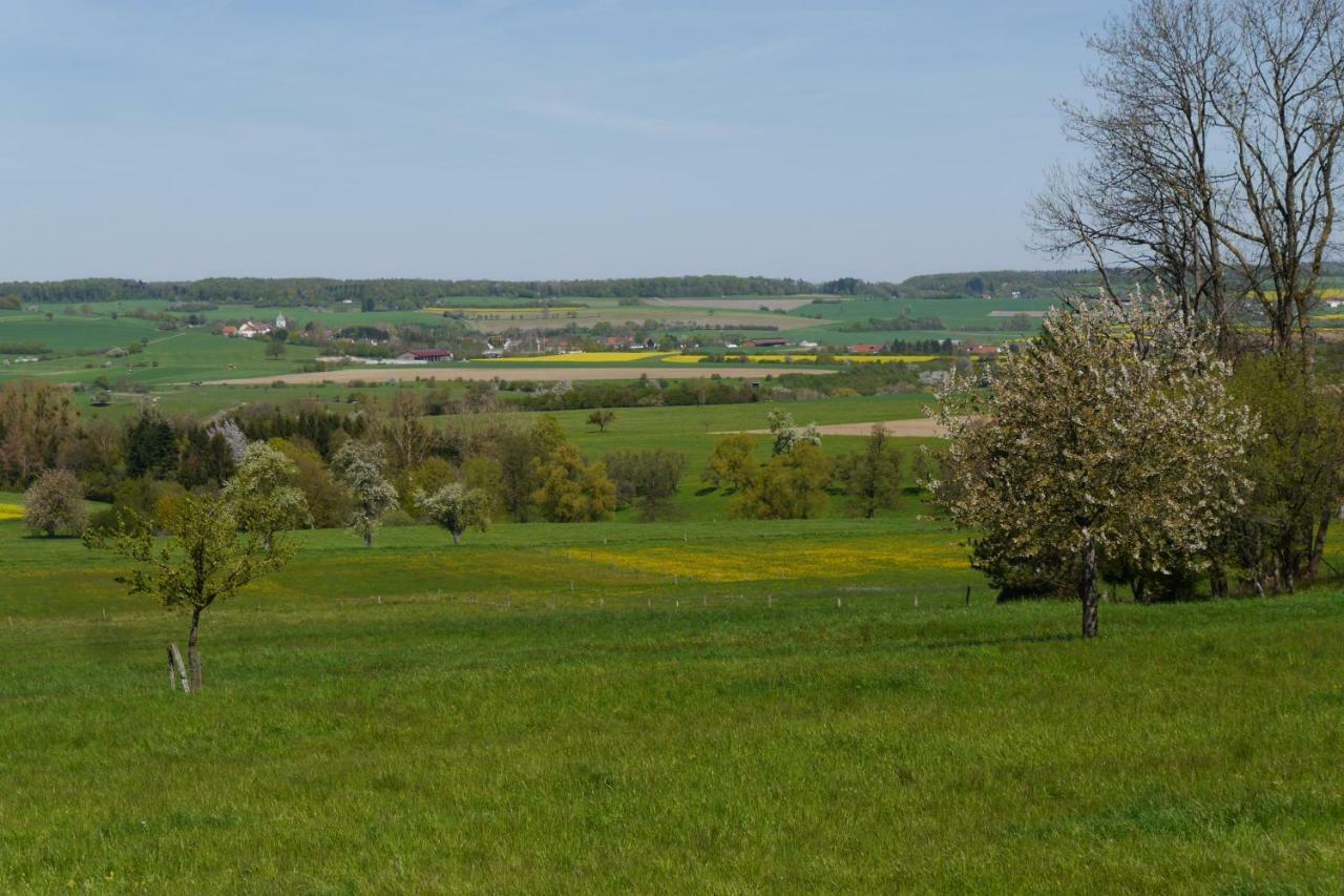 Appartement Eulennest, Haus Vogelgesang à Gersheim Extérieur photo